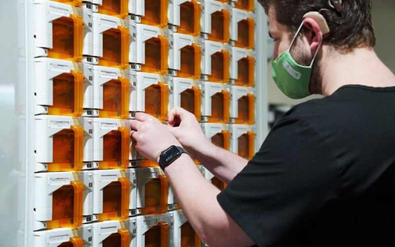 Southern Star Rx Vlad 2.0